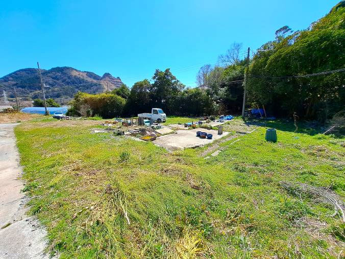 �g���z�[���y�[�W�@���n�@���쒬 �����v�ԁ@�ʐ^3