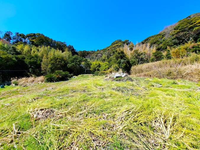 �g���z�[���y�[�W�@���n�@���쒬 �����v�ԁ@�ʐ^7