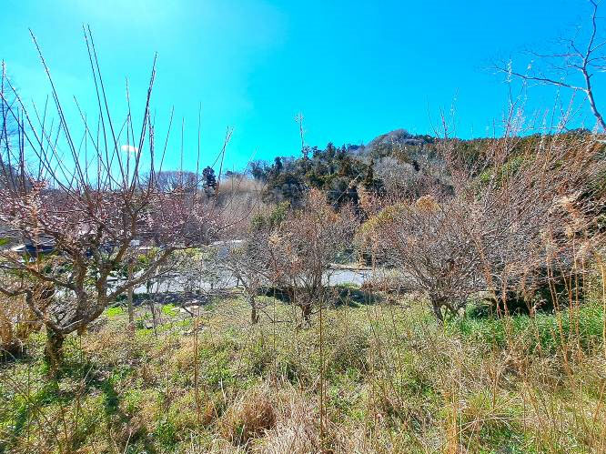 �g���z�[���y�[�W�@���Õ����@��[���s �r��@�ʐ^11