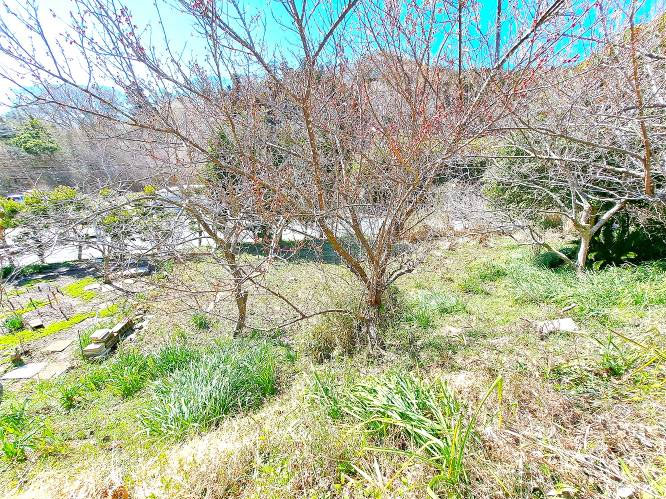 �g���z�[���y�[�W�@���Õ����@��[���s �r��@�ʐ^4