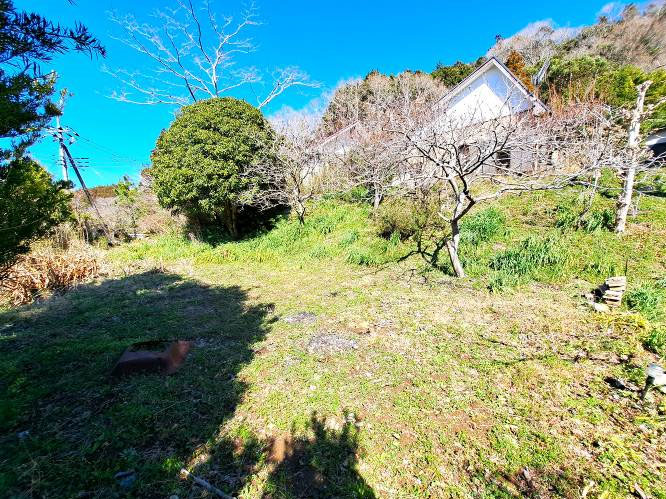 �g���z�[���y�[�W�@���Õ����@��[���s �r��@�ʐ^5