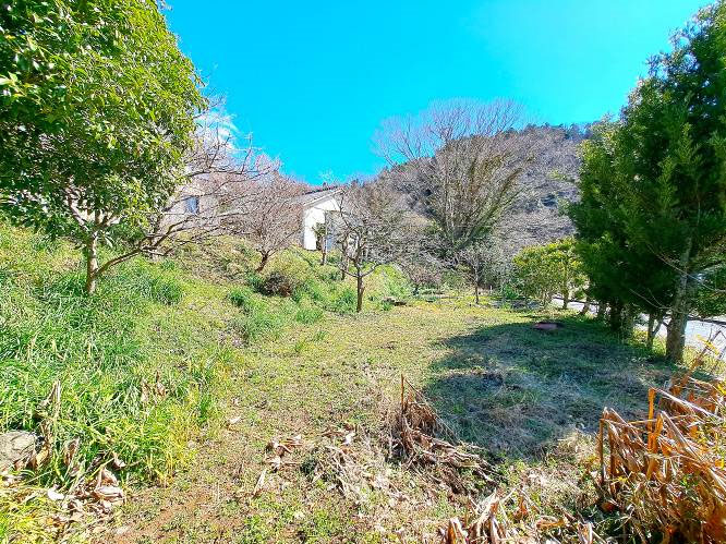 �g���z�[���y�[�W�@���Õ����@��[���s �r��@�ʐ^5