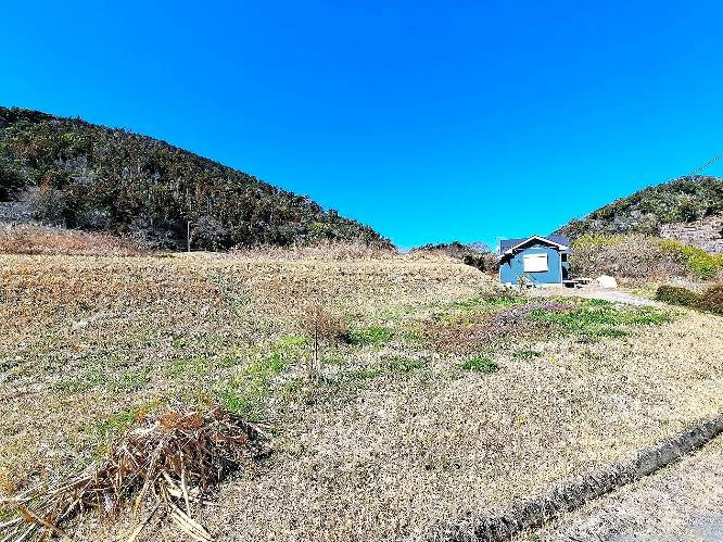 �g���z�[���y�[�W�@���Õ����@��[���s ���|�@�ʐ^5