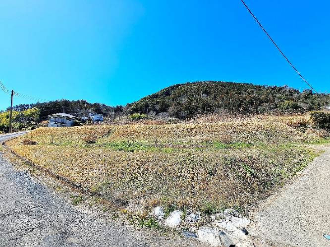 �g���z�[���y�[�W�@���Õ����@��[���s ���|�@�ʐ^6