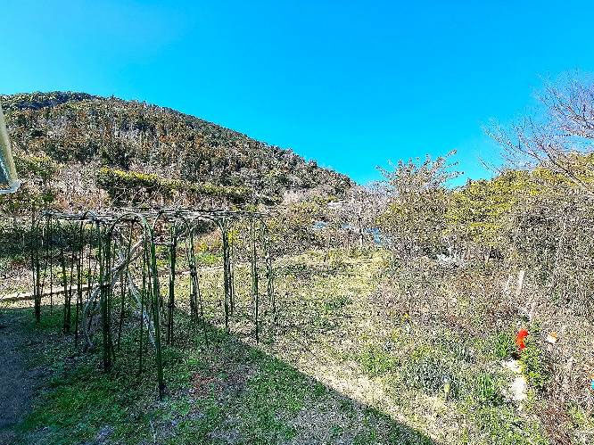 �g���z�[���y�[�W�@���Õ����@��[���s ���|�@�ʐ^7