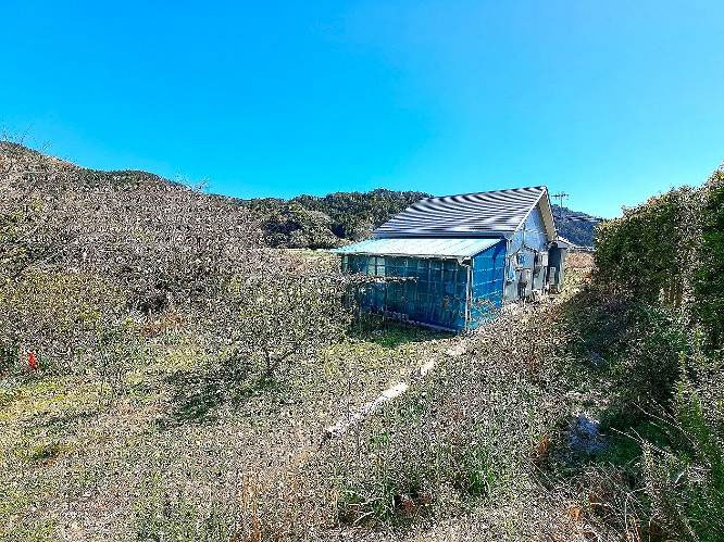 �g���z�[���y�[�W�@���Õ����@��[���s ���|�@�ʐ^8