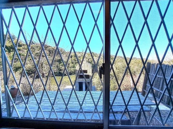 �g���z�[���y�[�W�@���Õ����@�َR�s ���ꖼ�@�ʐ^14