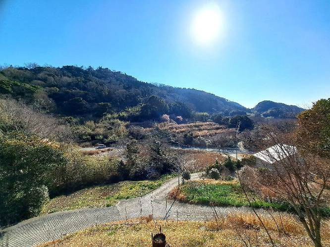 �g���z�[���y�[�W�@���Õ����@���쒬 �����@�ʐ^9