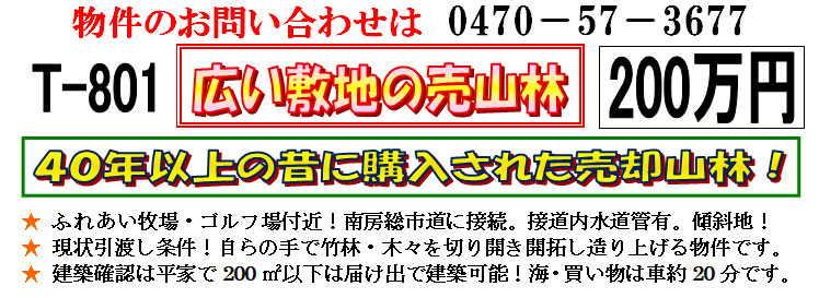 �g���z�[���y�[�W�@���n�@��[���s �r��