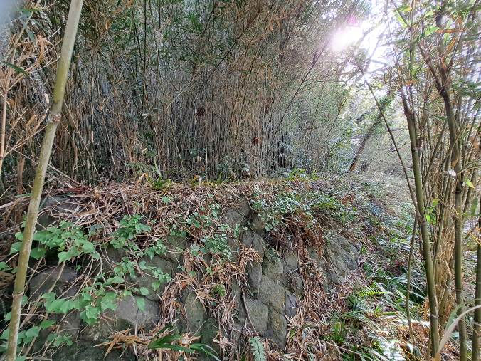 �g���z�[���y�[�W�@���n�@��[���s �r��@�ʐ^2