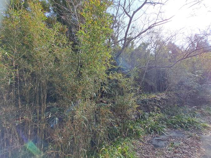 �g���z�[���y�[�W�@���n�@��[���s �r��@�ʐ^2