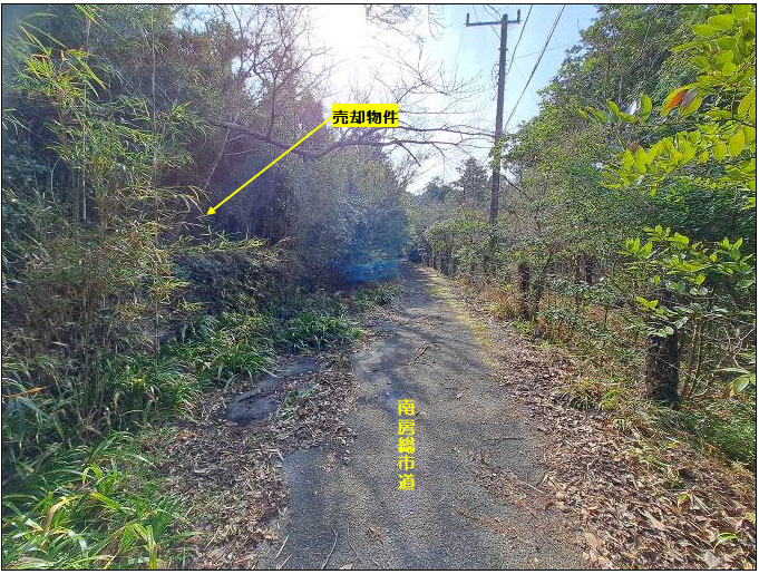 �g���z�[���y�[�W�@���n�@��[���s �r��@�ʐ^3