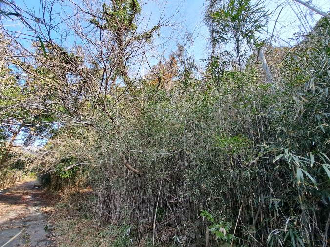 �g���z�[���y�[�W�@���n�@��[���s �r��@�ʐ^5