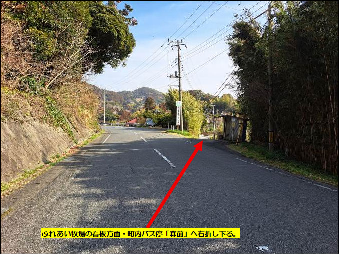 �g���z�[���y�[�W�@���n�@��[���s �r��@�ʐ^7