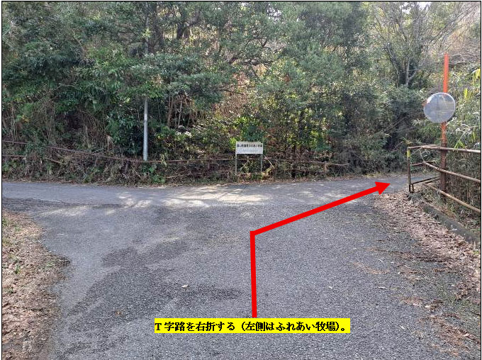 �g���z�[���y�[�W�@���n�@��[���s �r��@�ʐ^8