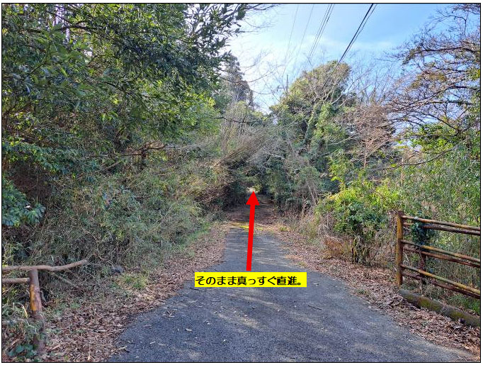 �g���z�[���y�[�W�@���n�@��[���s �r��@�ʐ^9